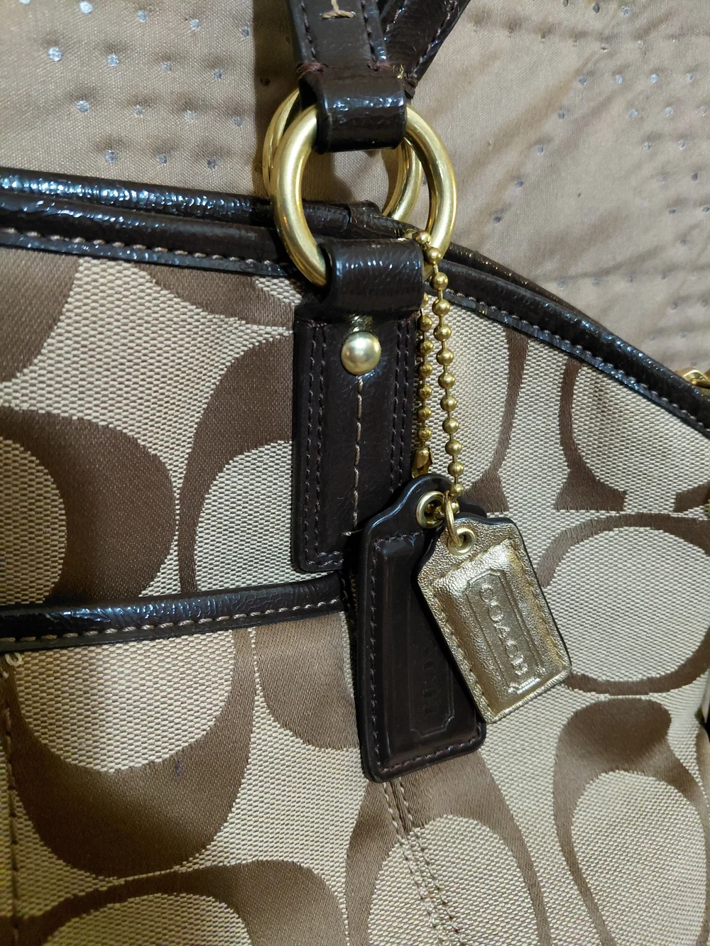 Coach Signature Canvas Tote in Brown